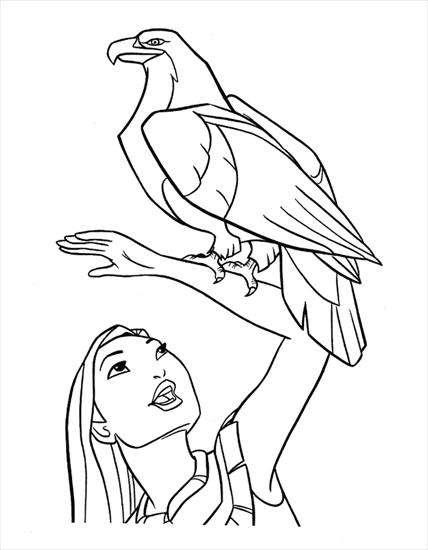 Orzeł, sokół, sęp drapieżne - orzeł - kolorowanka ptaki 3.gif